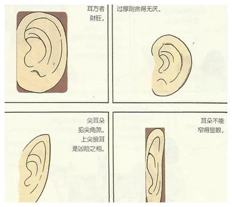 耳相分析|耳相16种图解 耳朵上大下小是怎么回事